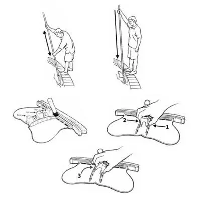 Wall Whale Swimming Pool Brush